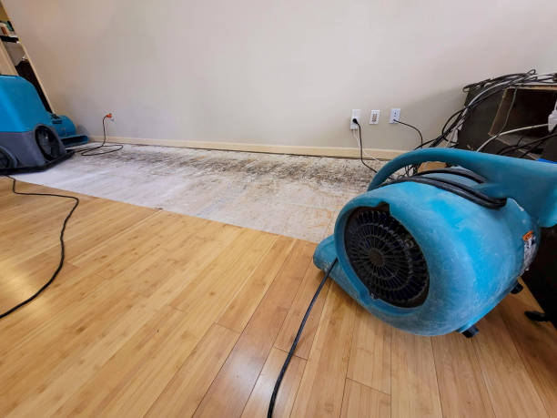 Professional Basement Flood Cleanup technician working in Charlton Heights, WV